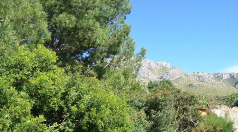 Balearic Islands - Artá - 1530m2