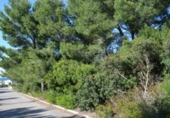 Parcela urbanizable en venta en la España, Artà, ref: TR119235 foto