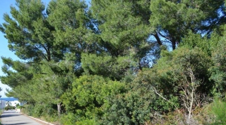 Balearic Islands - Artá - 1530m2