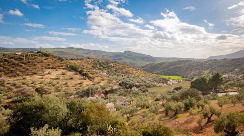 Málaga - Antequera - 167m2