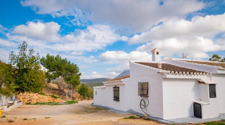 Málaga - Antequera - 167m2