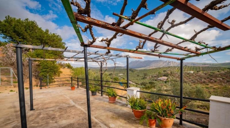 Málaga - Antequera - 167m2