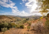 Detached villa with land for sale on España, Antequera, ref: TR134371 photo