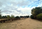 Земельный участок на продажу в городе Villares de la Reina Фото