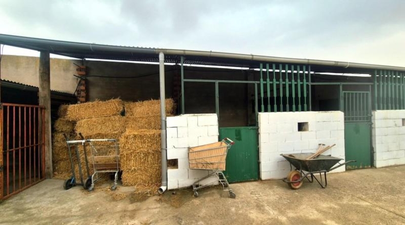 Salamanca - Villares de la Reina - 5000m2