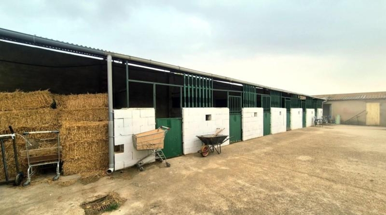 Salamanca - Villares de la Reina - 5000m2