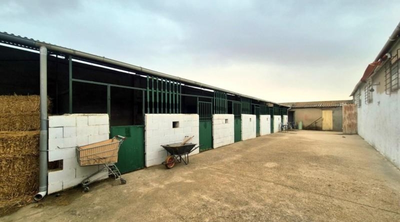 Salamanca - Villares de la Reina - 5000m2