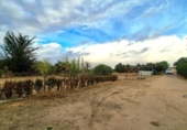 Земельный участок на продажу в городе Villares de la Reina Фото