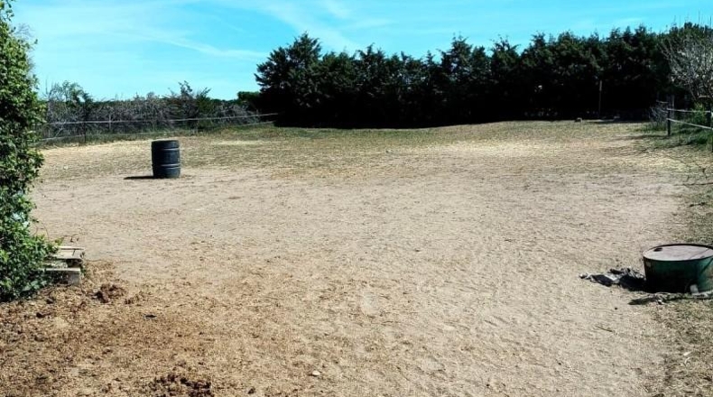 Salamanca - Villares de la Reina - 5000m2