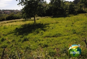 Sangenjo 3400&nbsp;m²