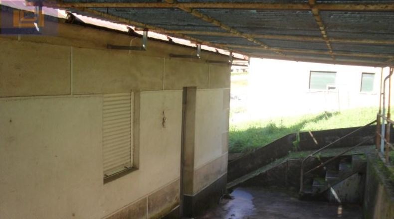 Pontevedra - Vigo - 600m2