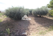 Casa de campo con terreno en venta en la España, Crevillente, ref: TR400551 foto