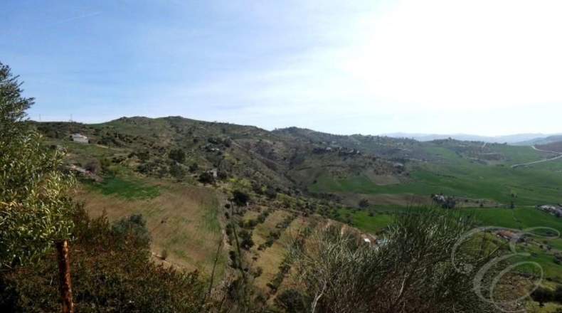 Málaga - Вильянуэва-де-ла-Консепсьон - 10480m2