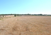 Chalet independiente con terreno en venta en la España, Santa Margalida, ref: TR409784 foto