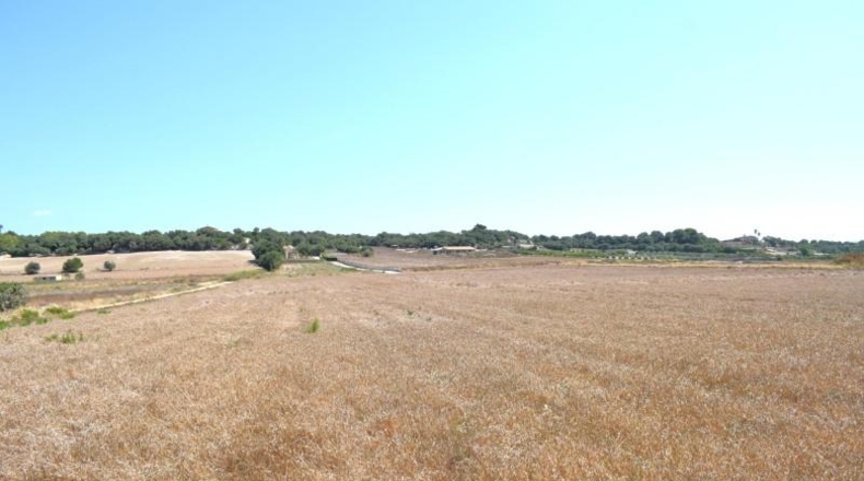 Islas Baleares - Santa Margalida - 26m2