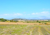 Chalet independiente con terreno en venta en la España, Santa Margalida, ref: TR409784 foto