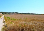 Chalet independiente con terreno en venta en la España, Santa Margalida, ref: TR409784 foto