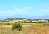 Chalet independiente con terreno en venta en la España, Santa Margalida, ref: TR409784 foto