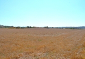 Chalet independiente con terreno en venta en la España, Santa Margalida, ref: TR409784 foto