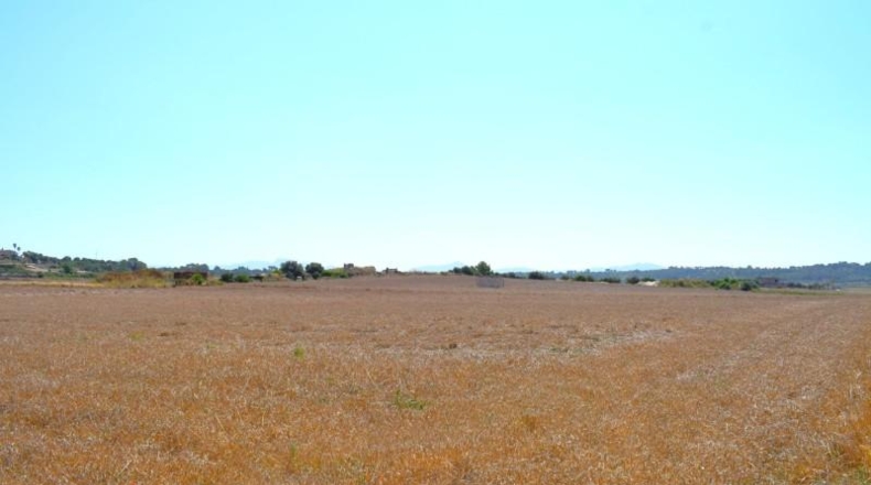 Islas Baleares - Santa Margalida - 26m2