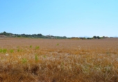 Chalet independiente con terreno en venta en la España, Santa Margalida, ref: TR409784 foto