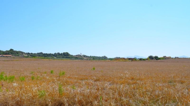 Islas Baleares - Santa Margalida - 26m2