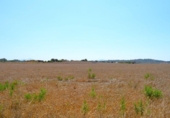 Chalet independiente con terreno en venta en la España, Santa Margalida, ref: TR409784 foto