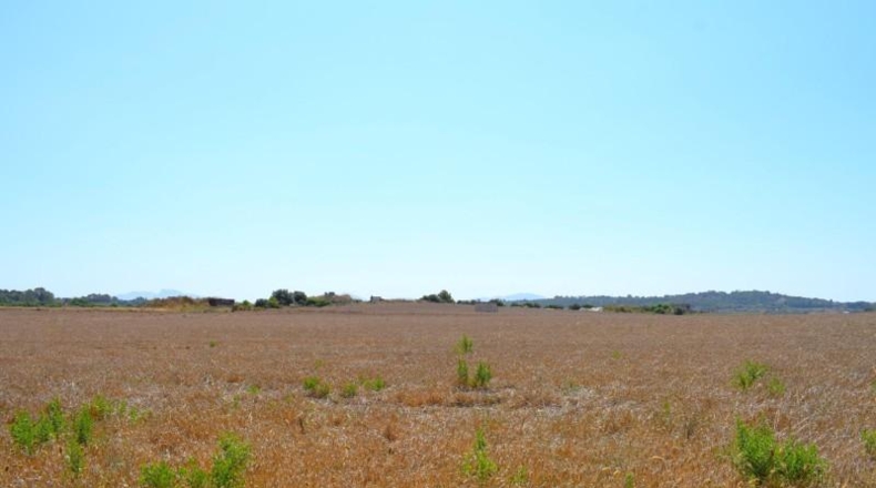 Islas Baleares - Santa Margalida - 26m2