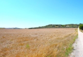 Chalet independiente con terreno en venta en la España, Santa Margalida, ref: TR409784 foto