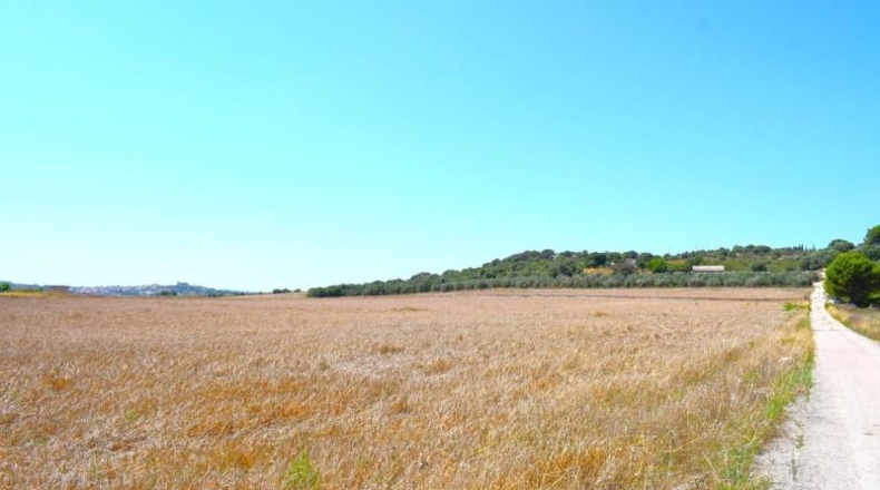Islas Baleares - Santa Margalida - 26m2
