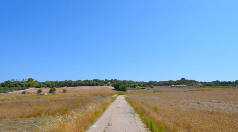 Islas Baleares - Santa Margalida - 26m2