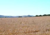 Chalet independiente con terreno en venta en la España, Santa Margalida, ref: TR409784 foto