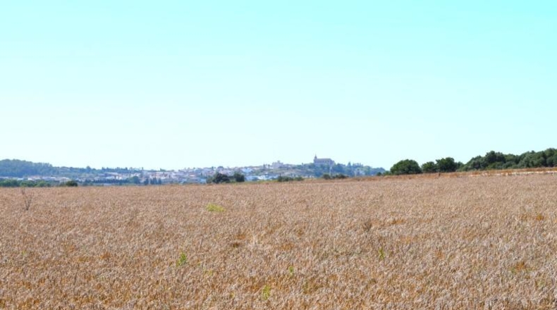 Islas Baleares - Santa Margalida - 26m2