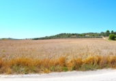 Chalet independiente con terreno en venta en la España, Santa Margalida, ref: TR409784 foto