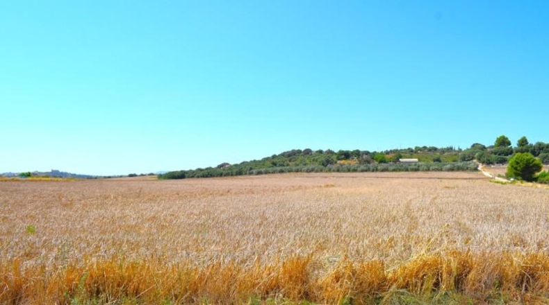 Islas Baleares - Santa Margalida - 26m2
