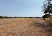 Parcel·la urbanitzable en venda a la España, Campos, ref.: TR328347 foto