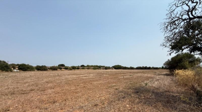 Illes Balears - Campos - 14100m2