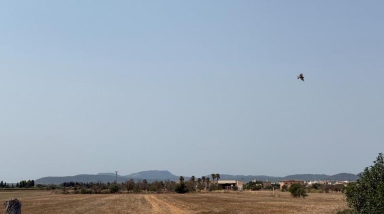 Illes Balears - Campos - 14100m2
