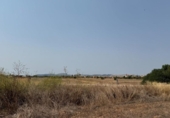 Parcel·la urbanitzable en venda a la España, Campos, ref.: TR328347 foto