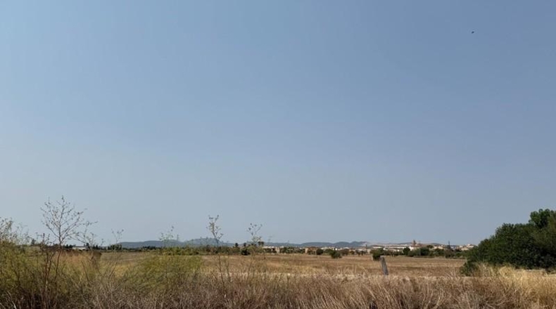 Illes Balears - Campos - 14100m2