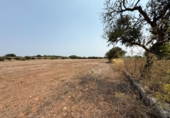 Parcel·la urbanitzable en venda a la España, Campos, ref.: TR328347 foto