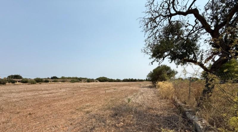 Illes Balears - Campos - 14100m2