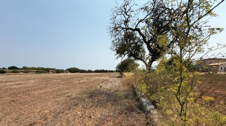 Illes Balears - Campos - 14100m2