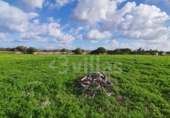 Terreno no urbanizable en venta en la España, Ciutadella de Menorca, ref: TR364813 foto