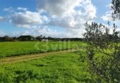 Terreno no urbanizable en venta en la España, Ciutadella de Menorca, ref: TR364813 foto