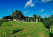 Terreno no urbanizable en venta en la España, Ciutadella de Menorca, ref: TR364813 foto