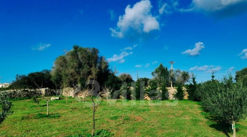 Islas Baleares - Ciudadela - 10490m2