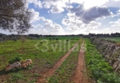 Terreno no urbanizable en venta en la España, Ciutadella de Menorca, ref: TR364813 foto