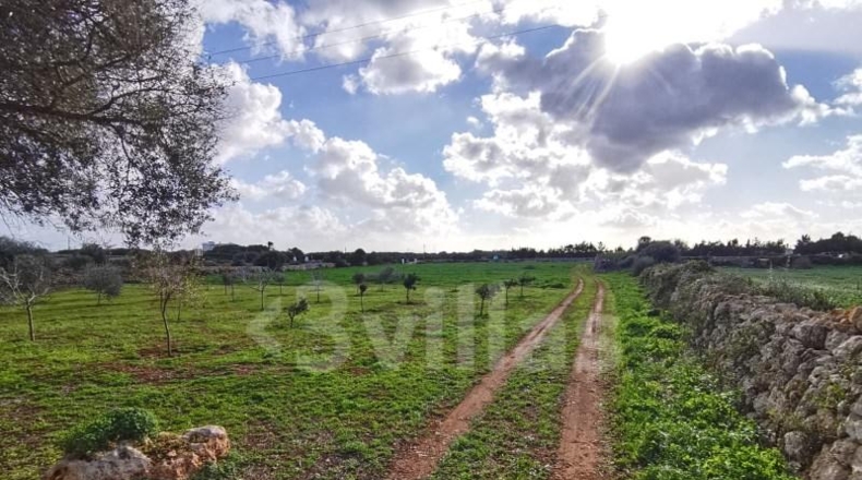 Islas Baleares - Ciudadela - 10490m2