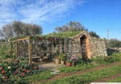 Terreno no urbanizable en venta en la España, Ciutadella de Menorca, ref: TR364813 foto
